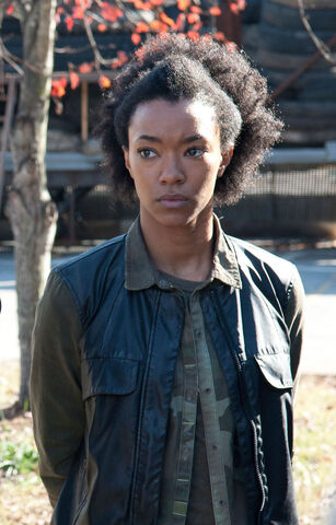 File:Sasha 3X16.jpg