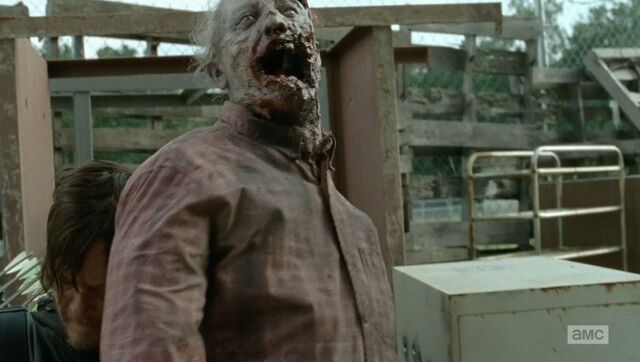 File:The-walking-dead-4x07-too-far-gone-spoiler-uccisione-settimana.jpg