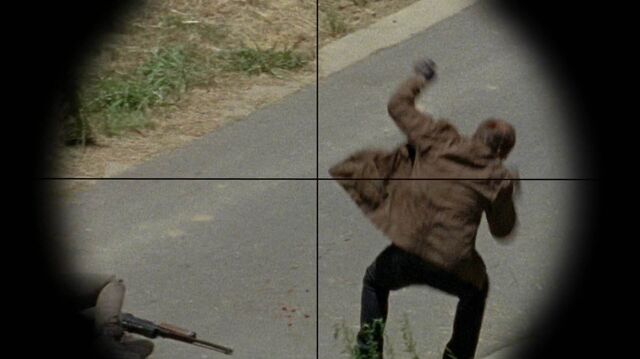 File:Wolf Death JSS.jpg