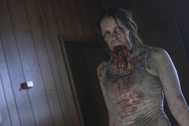 File:VA TWD Images 019.jpeg