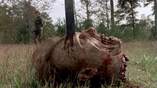File:Twd315-002211.jpg