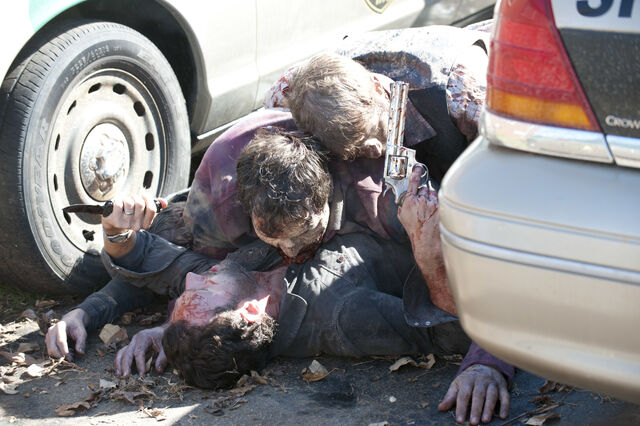 File:Episode-10-rick-walkers.jpg