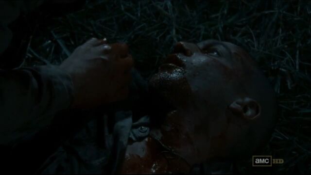 File:SHANE.jpg