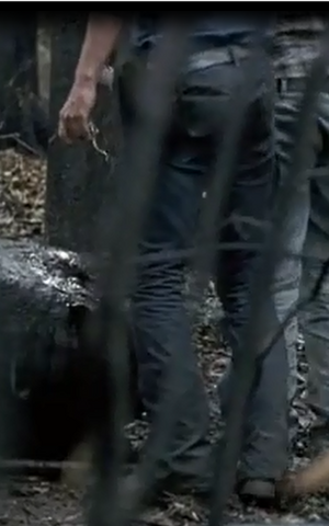 File:Wade.png