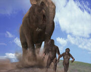 Evi deinotherium large