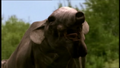 Thumbnail for version as of 19:20, April 12, 2013