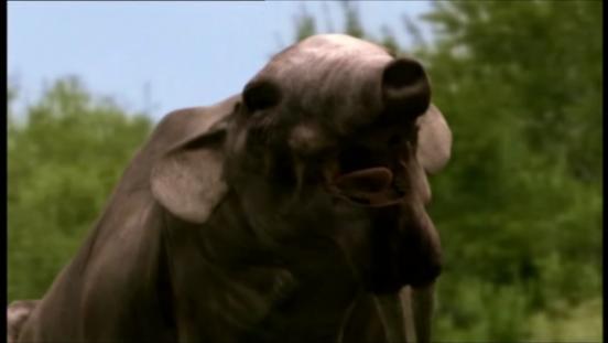 File:Deinotherium.png
