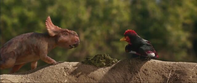 File:Movie BirdWithBaby.jpg