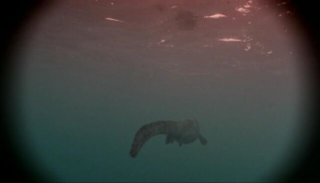 File:Little Mosasaur.jpg