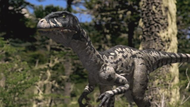 File:Dromaeosaurus-wwd-1.jpg