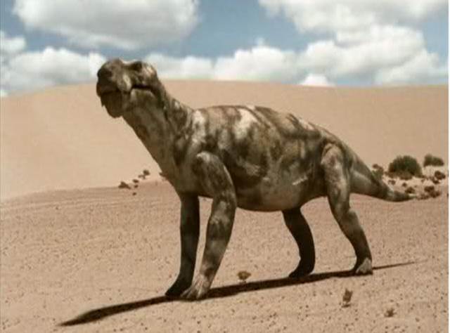 File:Picture1.jpg