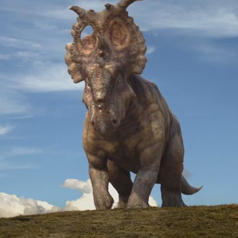File:Movie Pachyrhinosaurus1.jpg