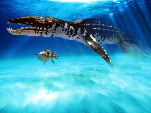 Liopleurodon