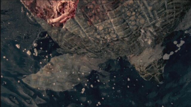 File:SM1x3 DeadArchelon.jpg