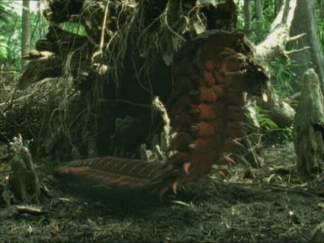 File:WWM1x2 Arthropleura.jpg