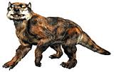 Thylaceo