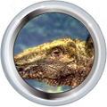 Thumbnail for version as of 08:02, September 25, 2010