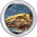 File:Badge-286-4.png