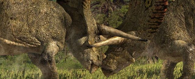File:Torosaurus in fight.jpg