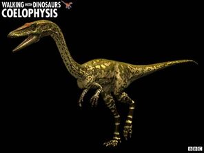 Coelophysis z1