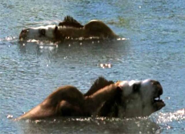 File:Toxodon swimming.jpg