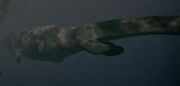 Tylosaurus
