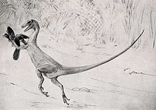 Ornitholestes charles knight