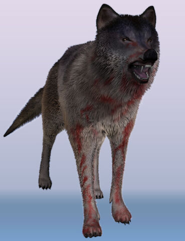 File:WOLF7.jpg