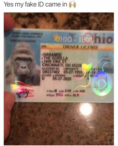 File:Harambense.jpeg