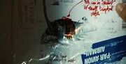 A close up of a the blueprint for making the explosive rats.