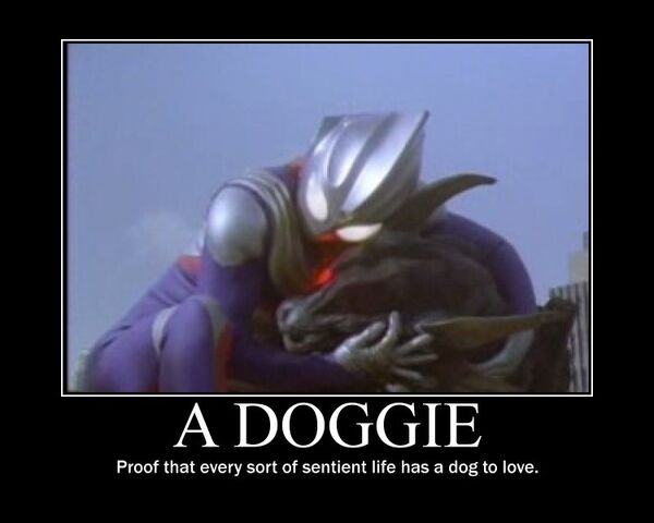 File:A doggie.jpg