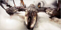 Thumbnail for version as of 14:57, December 4, 2011