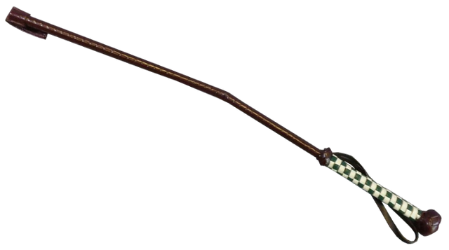File:Cecil B. DeMille's Riding Crop.png