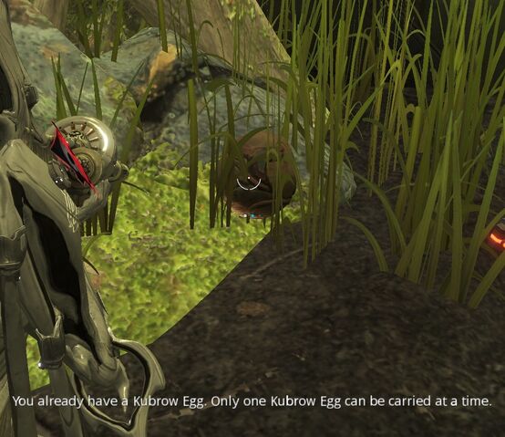 File:Only one Egg.jpg