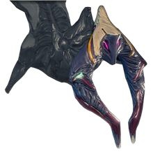 ThoraxSchweif.png