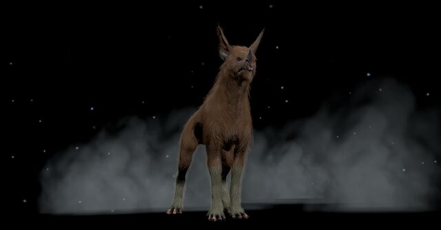 File:Warframe1177.jpg