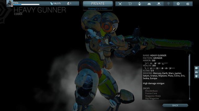 File:Heavy Gunner Codex.png