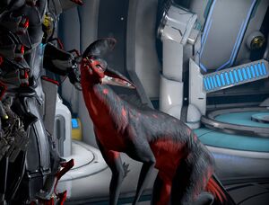 Darthmufinkavat