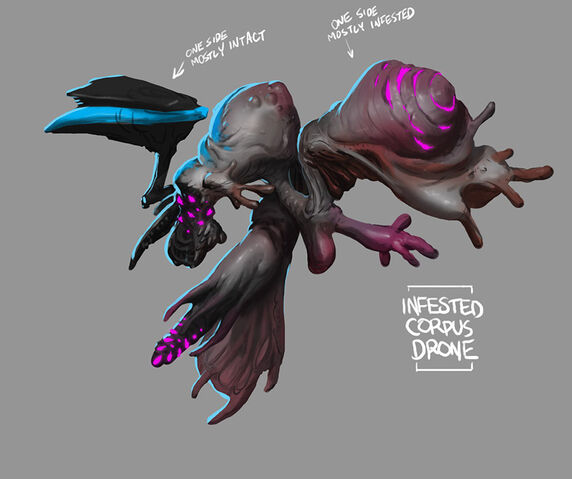 File:InfestedDroneConcept.jpg