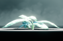 FrostLaubCodex.png
