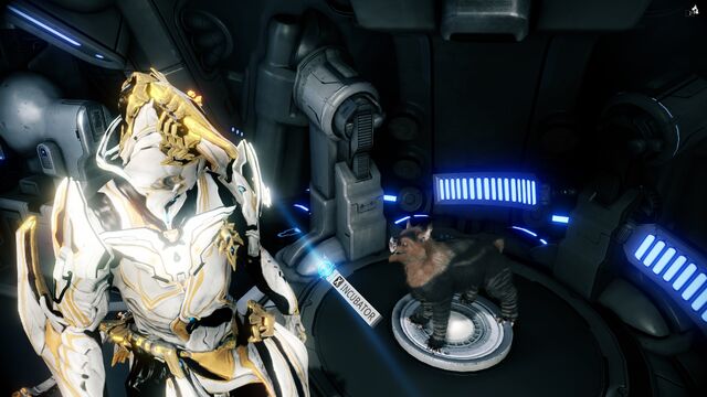 File:Warframe34456986.jpg