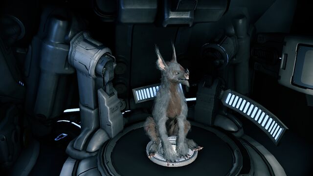 File:Warframe0179.jpg