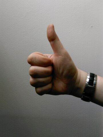 File:IMG 20170607 103456.jpg