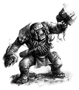 Info-114.jpg