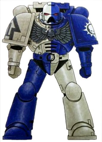 File:Novamarines Chapter Colour Scheme.jpg