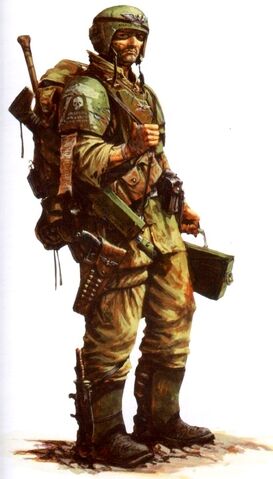 File:Cadian Shock Trooper.jpg