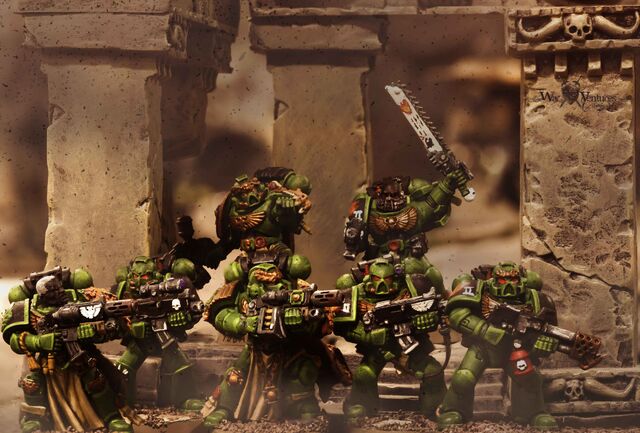 File:Salamanders.jpeg