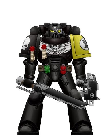File:Deathwatch Imperial Fist Marine.jpg