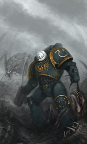 File:An ultramarine Veteran.jpg