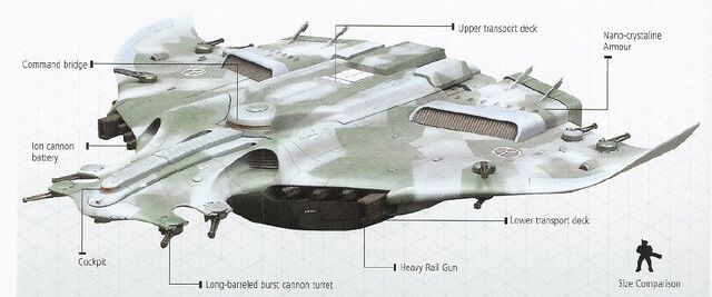 File:Manta9.jpg